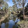 Lightning Swamp Bushland