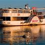 Paddle Steamer Decoy