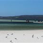 Albany - Emu Point