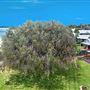 Dunsborough
