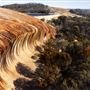 Wave Rock