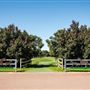 Gold Front Breeding & Racing