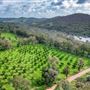 The Chittering Valley