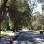 Canns Road