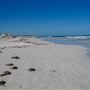 Back Beach