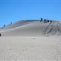 Lancelin