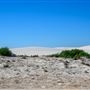 Sandy Cape