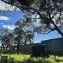 Shearing Shed @ Duke's Vineyard
