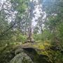 Porongorup National Park