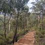 Beelu National Park