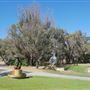Gomboc Gallery Sculpture Park