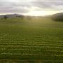 Shepherds Hut Winery