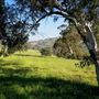 Brigadoon - Campresic Road