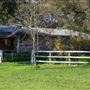 Alwyn Park Stud