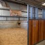 Gold Front Breeding & Racing