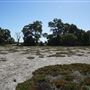 Whiteman Park - Flats for Build