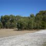 Whiteman Park - Flats for Build