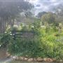 1418 Katrine Rd