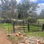 1418 Katrine Rd