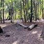 Jarrahdale Pine Plantations