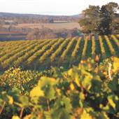 Goundrey Winery