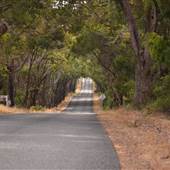 Yallingup - Wyadup Road to Indijup Beach