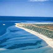 Monkey Mia, Gascoyne