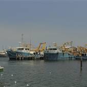 Fremantle Fishing Boat Harbour