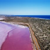 Pink Lake - Hutt Lagoon