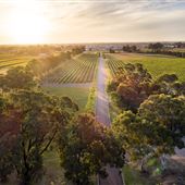 Sandalford Vineyards