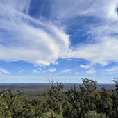 Dwellingup State Forest