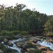 Wellington National Park