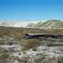 Lancelin