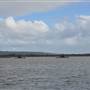 Hardy Inlet, Augusta