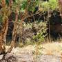Mirima National Park, Kununurra
