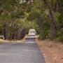 Yallingup - Wyadup Road to Indijup Beach