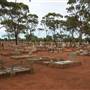 Kalgoorlie - Cemetery