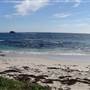 Hamelin Bay