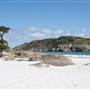 Shelter Island and beach, Albany