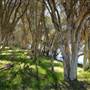 Boddington Shire