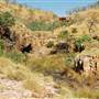 Tier Gorge