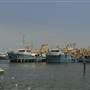 Fremantle Fishing Boat Harbour