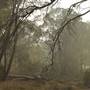Great Eastern  Highway