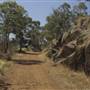 John Forrest National Park