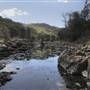 John Forrest National Park