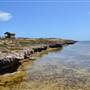 Abrolhos Islands - East Wallabi