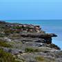 Abrolhos Islands - East Wallabi