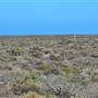 Abrolhos Islands - East Wallabi