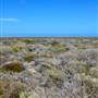 Abrolhos Islands - East Wallabi