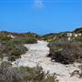 Abrolhos Islands - East Wallabi